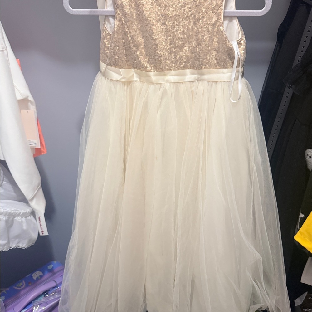 David's Bridal Gold and Cream Gown